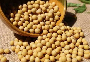 高壓鍋煮豆子不破皮，輕松制作完美納豆